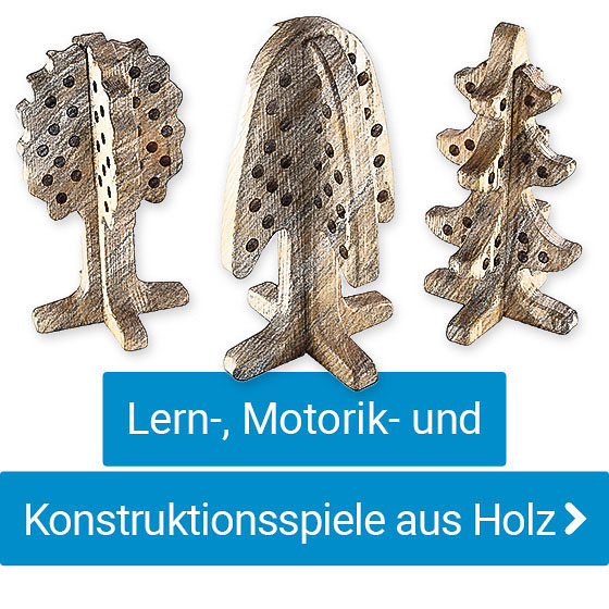 TTS Lern-, Motorik- und Konstruktionsspiele