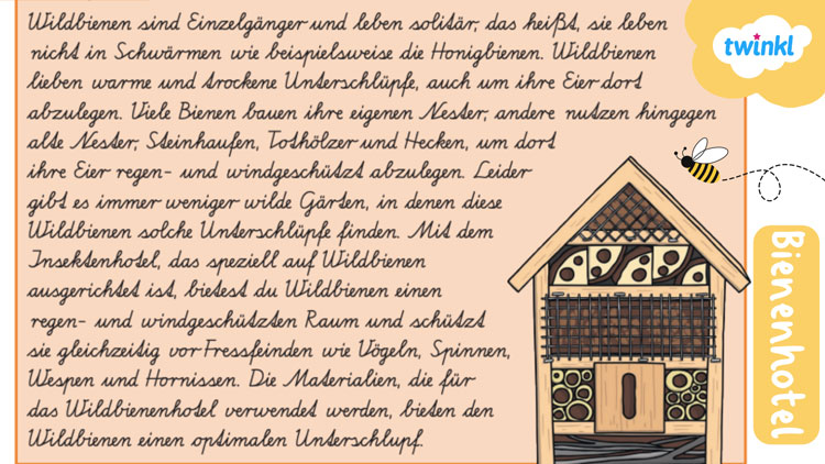 Insektenhotel Bauanleitung