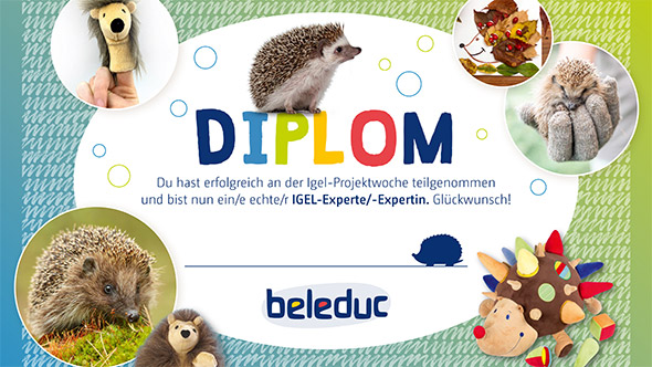 Vorschau Igel Diplom
