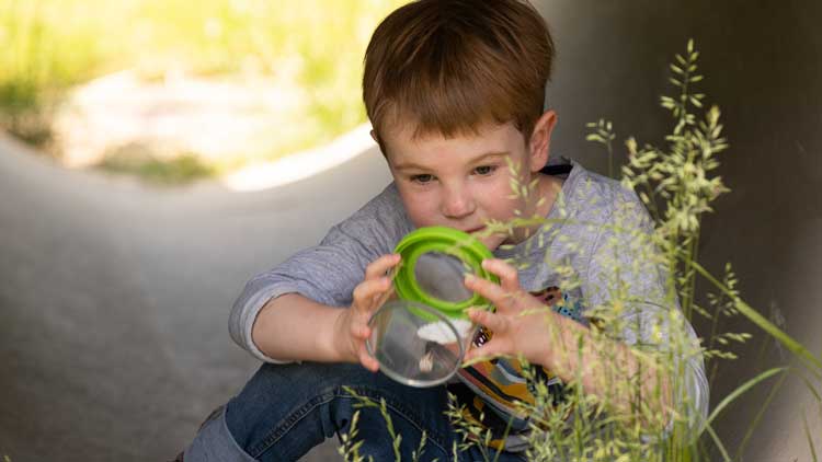 Mit Kindern spielerisch die Natur erforschen.