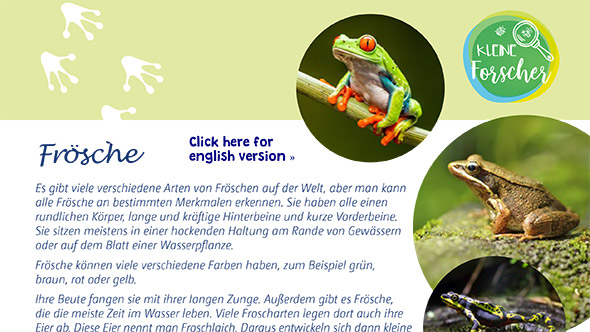 Vorschau Bastelanleitung „Frösche“