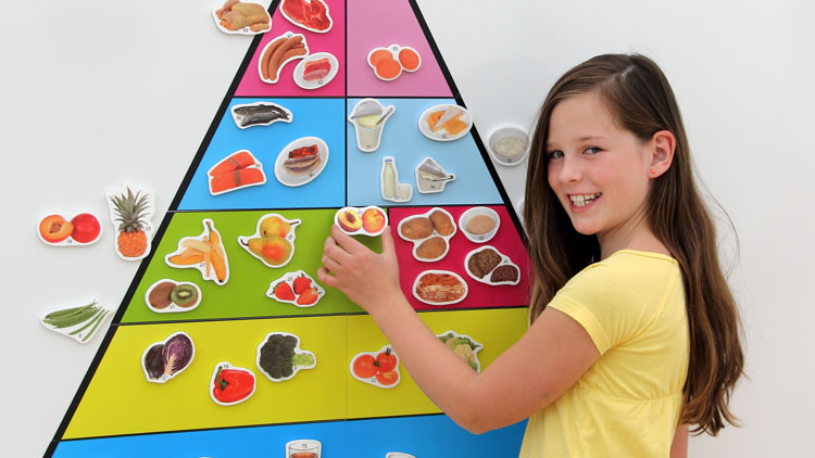 Magnetische Lebensmittelpyramide