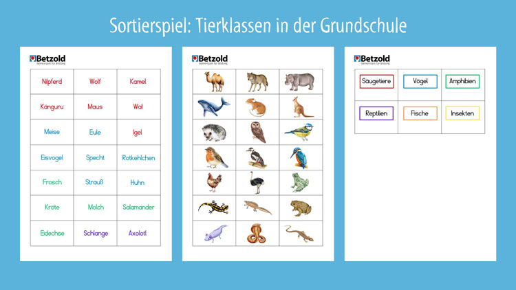Download: Tierquiz