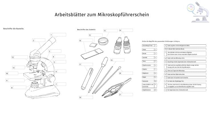 Arbeitsblatt zum Mikroskopführerschein