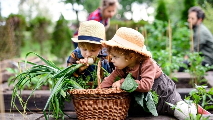 Pädagogische Konzepte, wie das des Bauernhofkindergartens, einfach erklärt: im Betzold Blog.