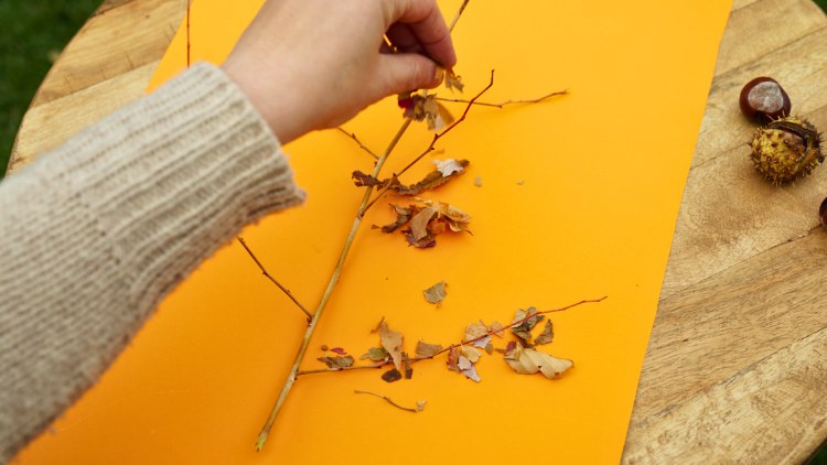 Aus getrocknetem Laub entstehen herbstliche Bilder