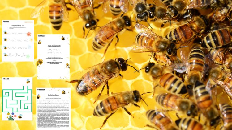 Bienenprojekt für den Kindergarten mit Reimen und Spielen aus dem Betzold Blog.