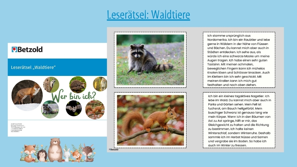Leserätsel Waldtiere