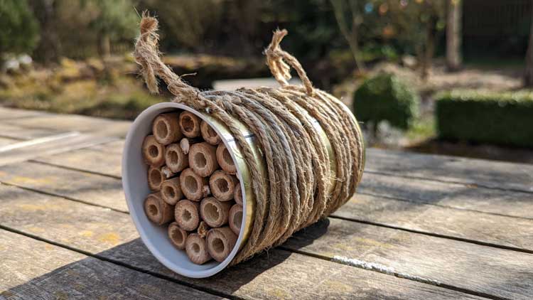 Auch aus einer Konservendose kann mit Bambusrohr gefüllt ein Insektenhotel entstehen.