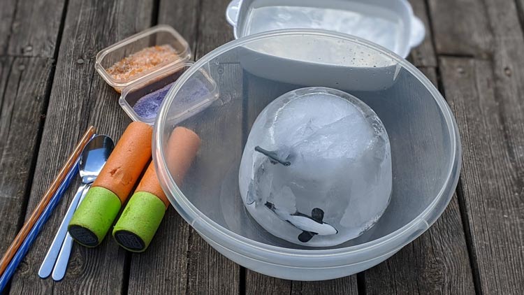 Meerestiere von betzold.de werden in einem eisblock eingefroren und dann befreit