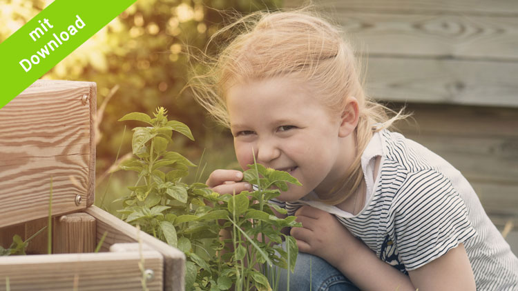 Mädchen untersucht die Pflanzen in ihrem Blumenkasten von Betzold.de