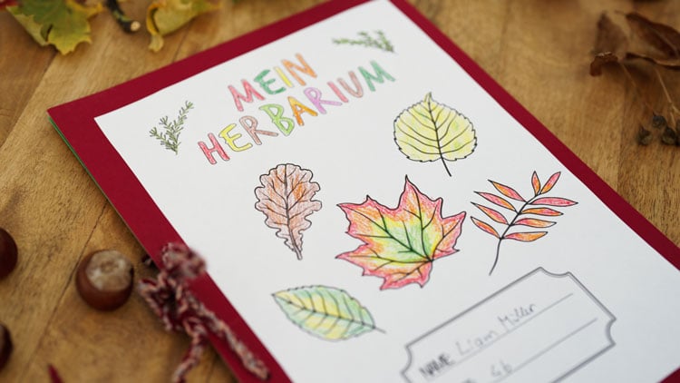 Herbarium Deckblatt