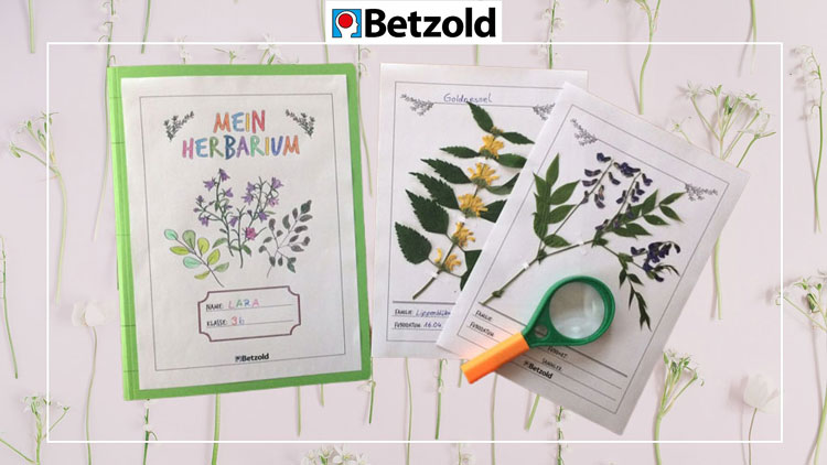 Herbarium
