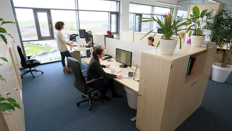 Flexeo Schreibtische Anwendungsbild Arbeiten an höhenverstellbaren Tischen