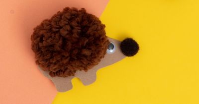 Igel aus Pompon Brauner Igel aus Pompon auf einem gelb-orangenen Hintergrund