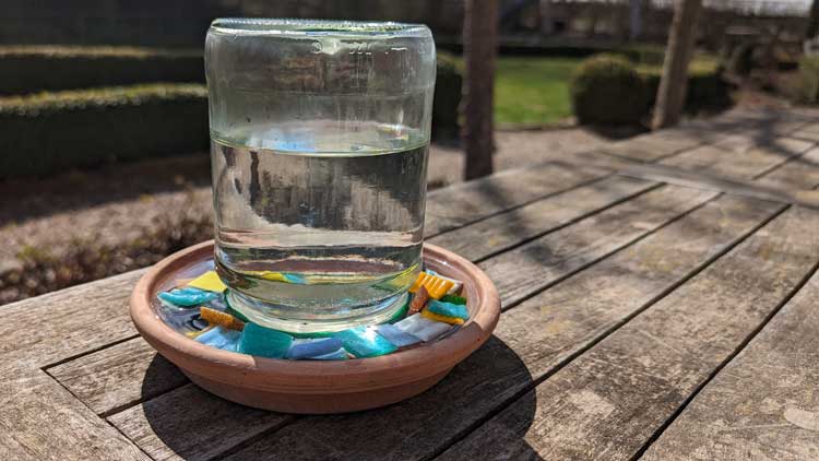 Insekten brauchen ebenfalls Wasser, um zu überleben - eine  Insektentränke ist ein sicherer Platz zum Trinken.