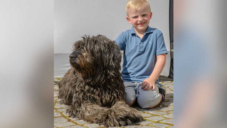 Hund liegt neben Jungen