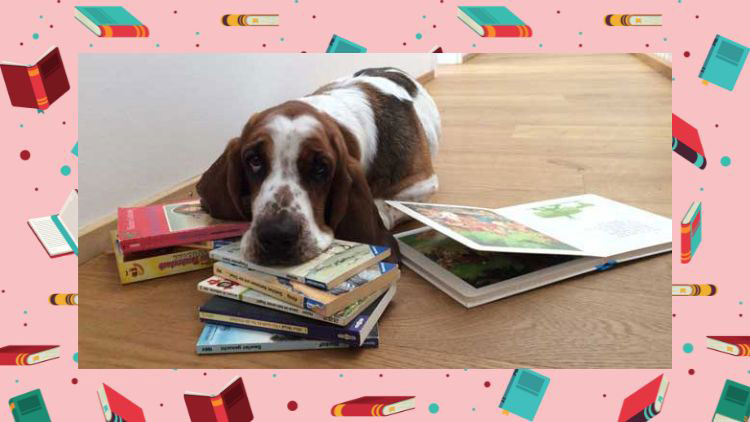 Kind liest einem Hund ein Buch vor