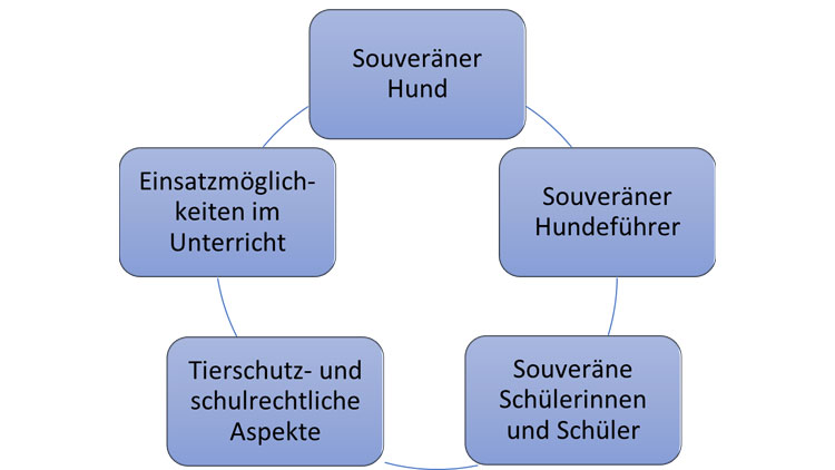 5 Merkmale guter Schulhundarbeit