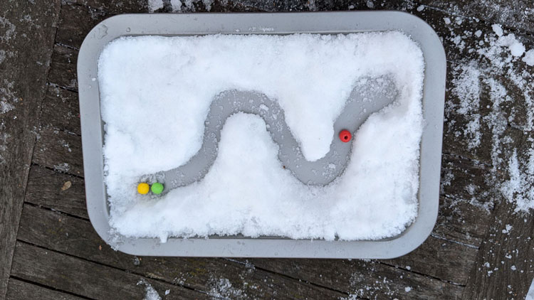 Murmelbahn aus Schnee