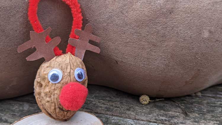 Rudolph, das Rentier mit der roten Nase aus einer Walnussschale gebastelt.