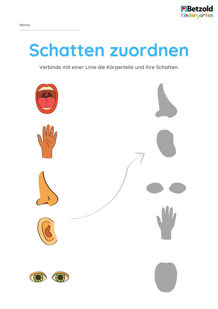Arbeitsblatt: Schatten zuordnen