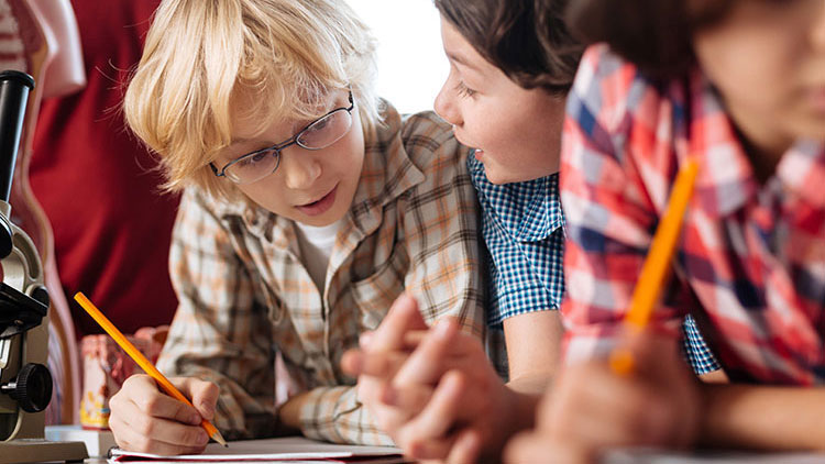 Schüler arbeiten gemeinsam