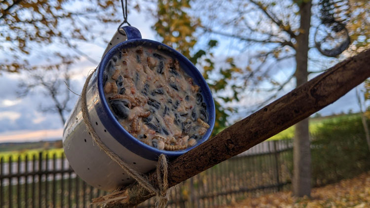 Vogelfutterspender mittels einer Tasse und Jutegarn gebastelt.