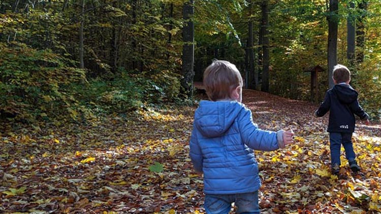 2 Kinder spazieren durch den Wald