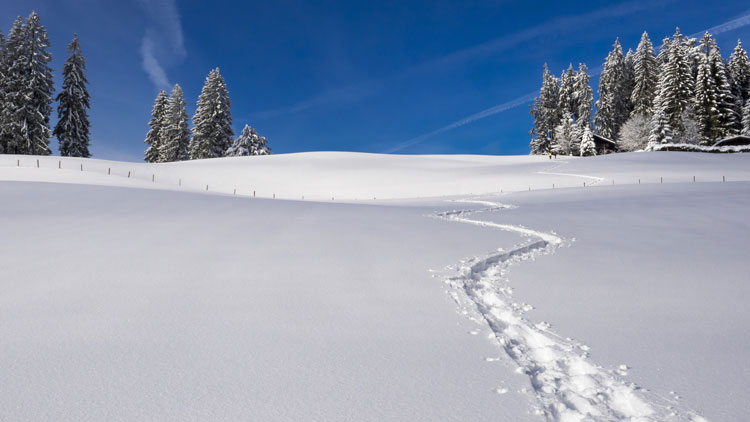 Spuren im Schnee