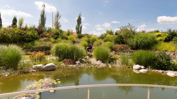 Nachhaltigkeit_Biodiversität