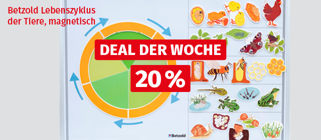 Betzold Lebenszyklus der Tiere, magnetisch