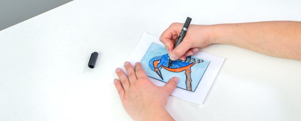 Druckvorlage Vogel wird gemalt