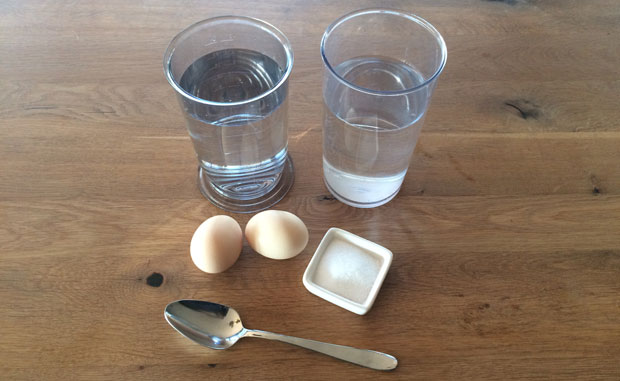 Eier und Salz vor Wassergläsern