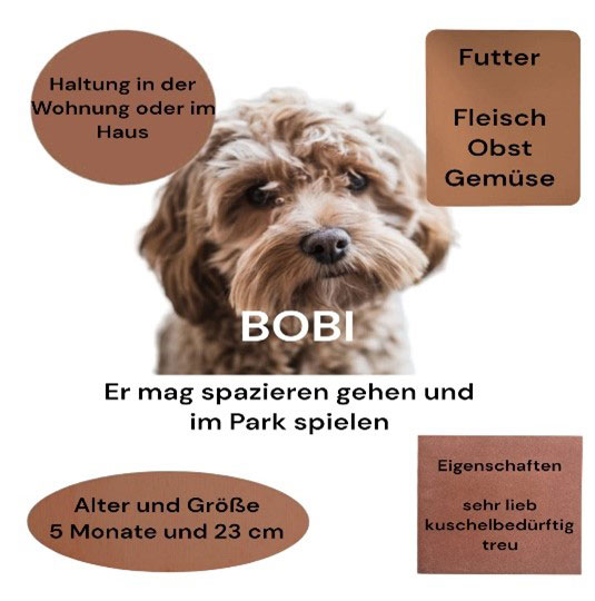 Plakat zum Thema Haustiere