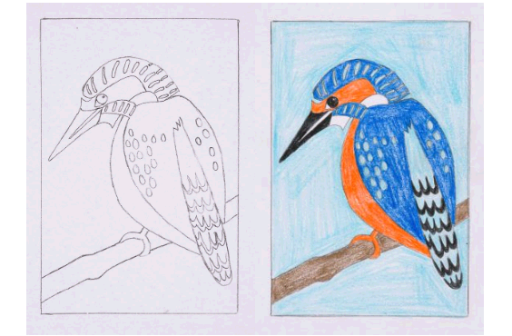 Skizze Vogel